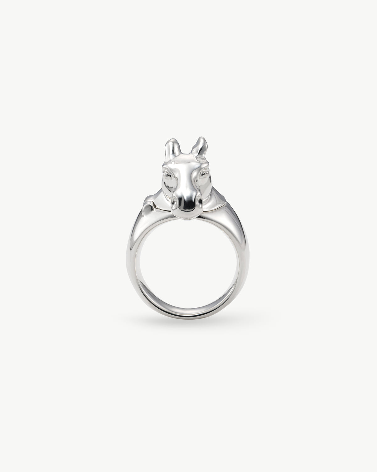 horse ring 04