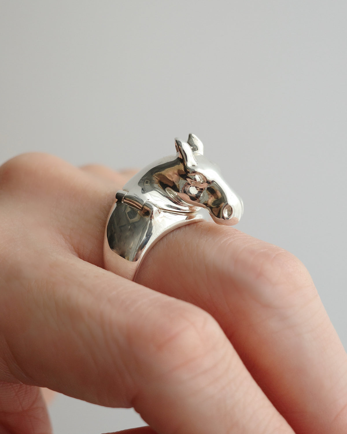 horse ring 05