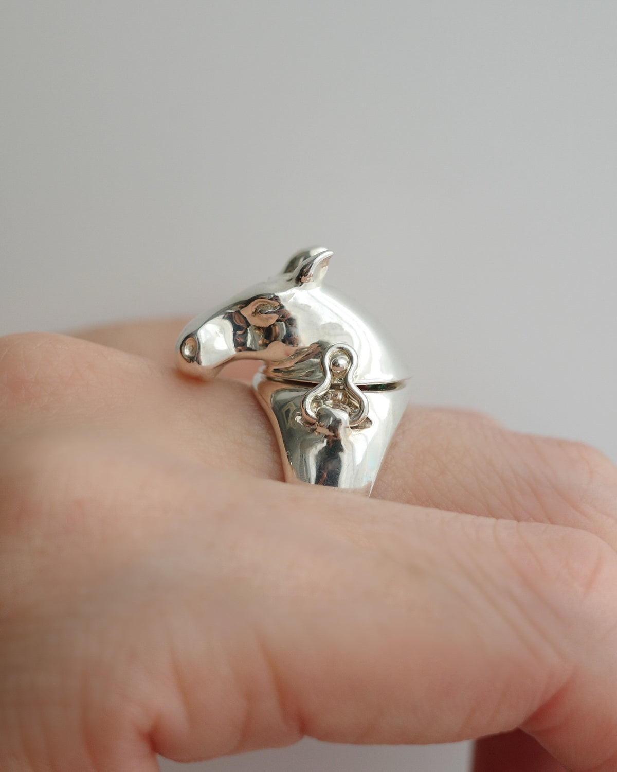 horse ring 05