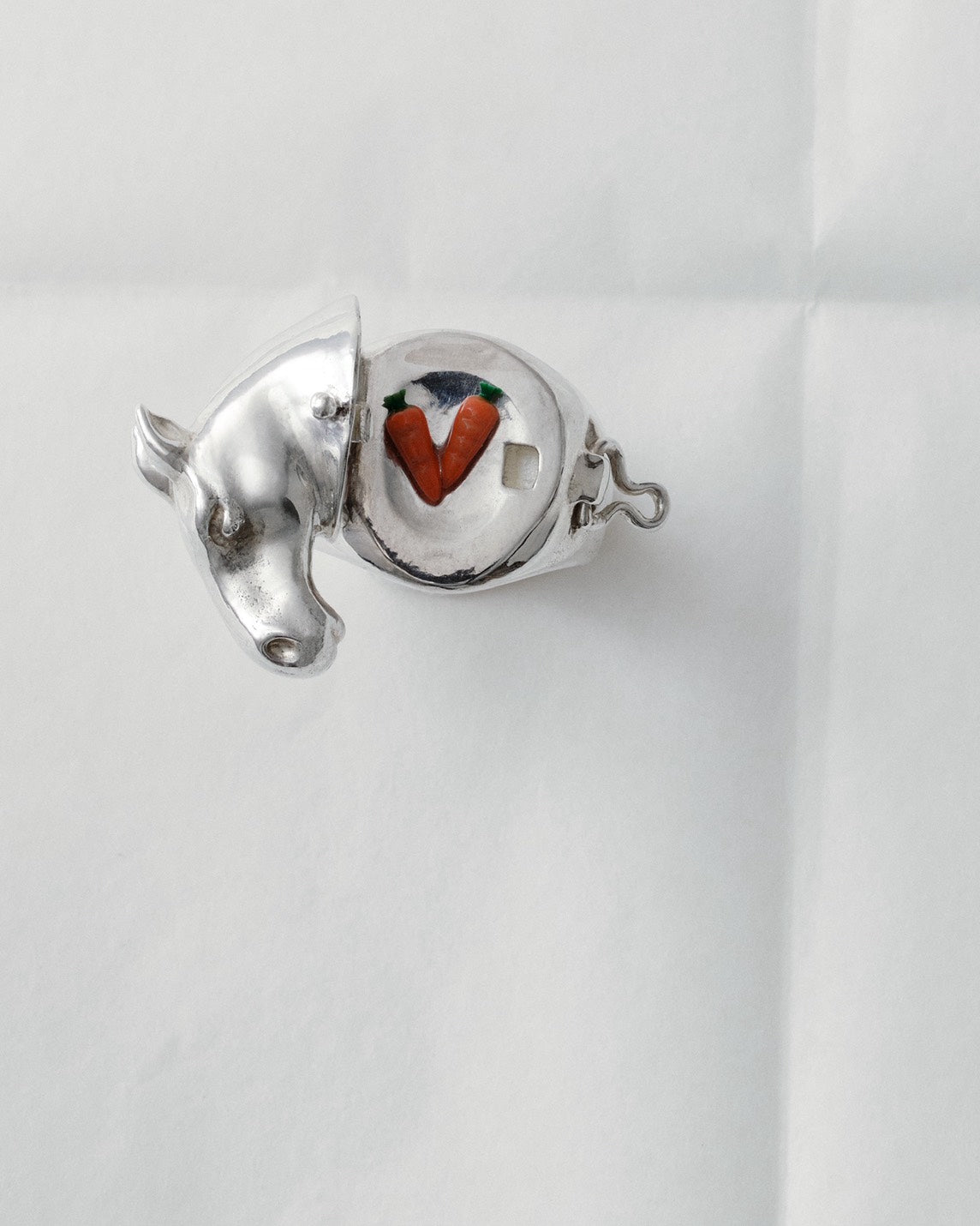horse ring 05