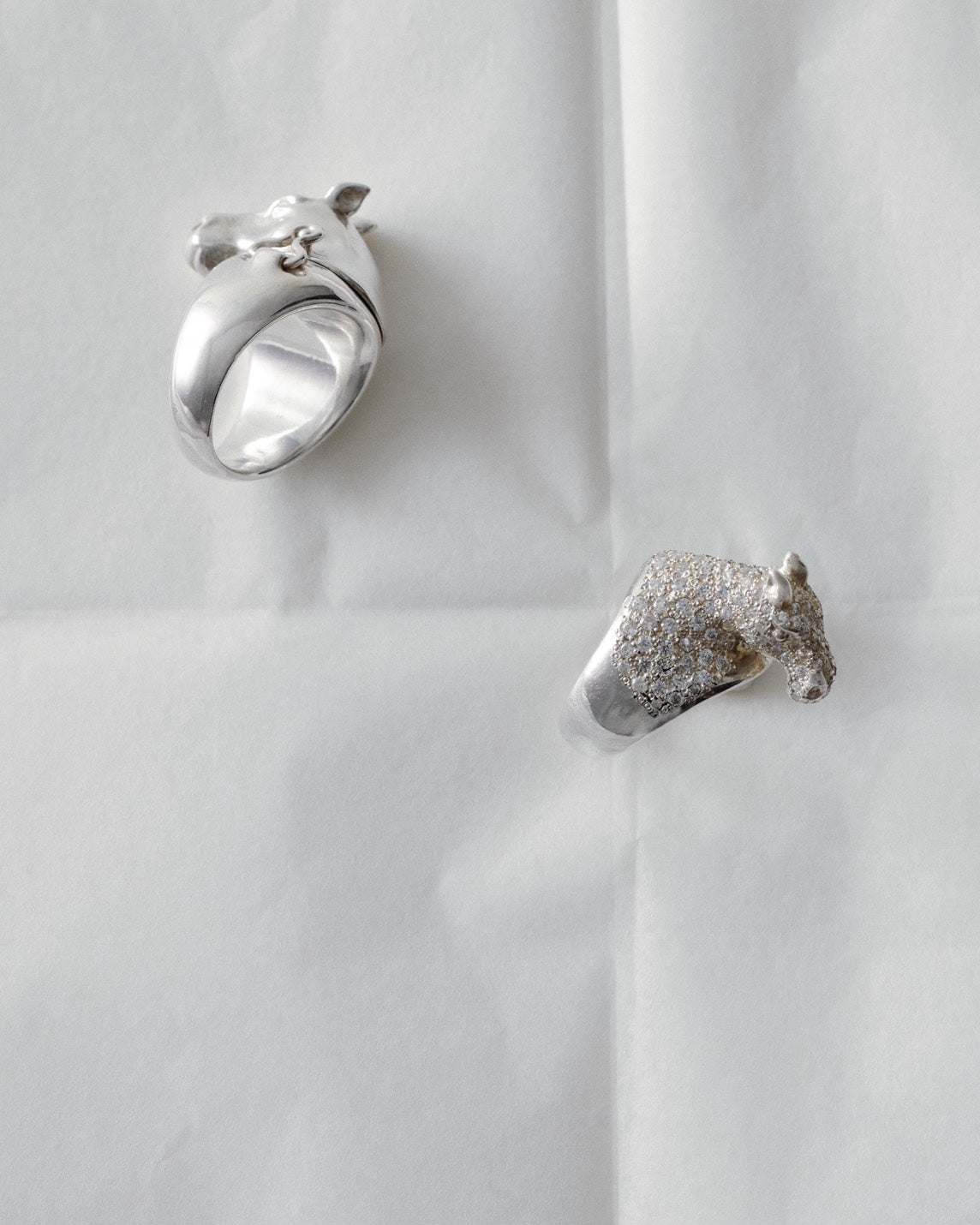horse ring 04