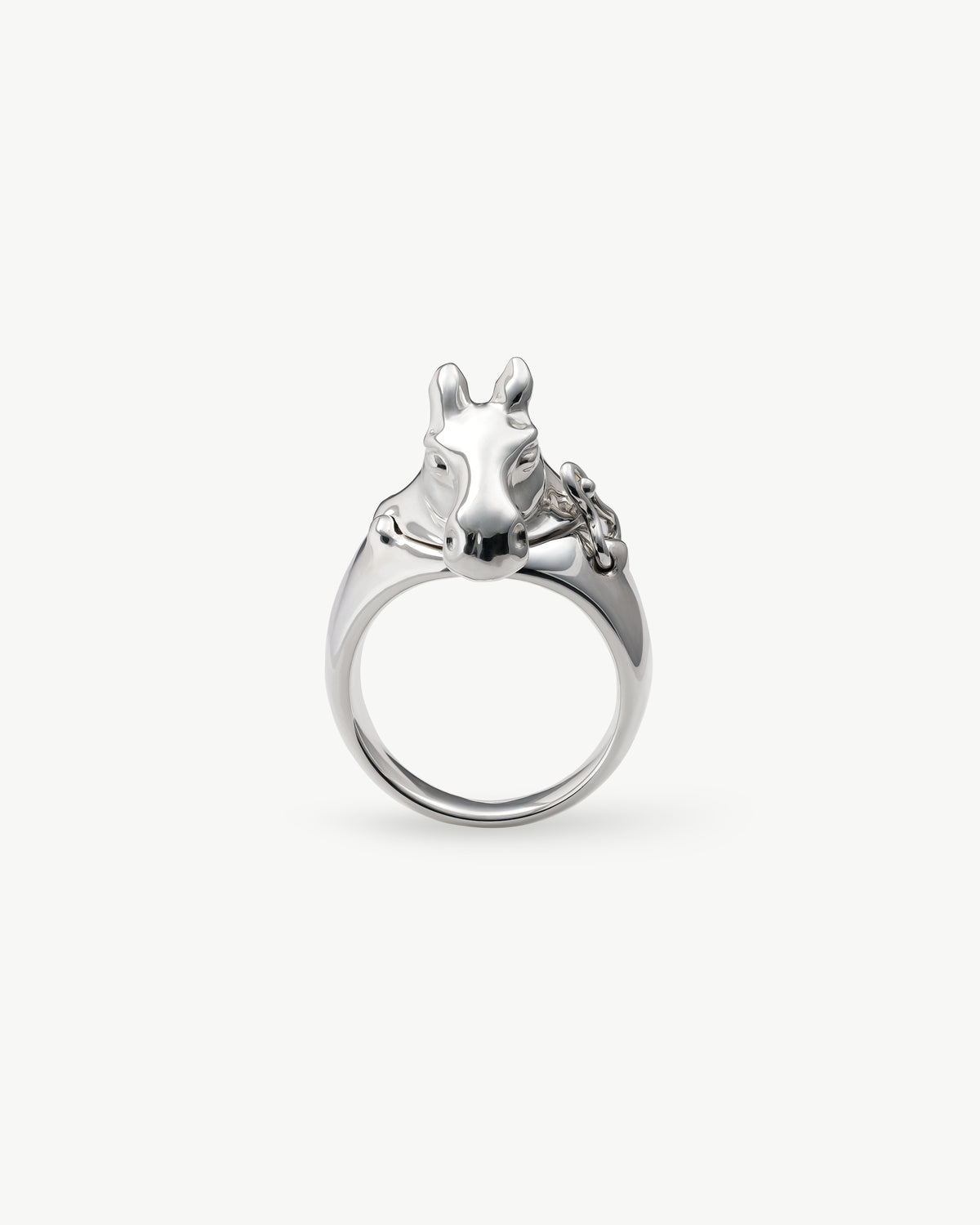 horse ring 05