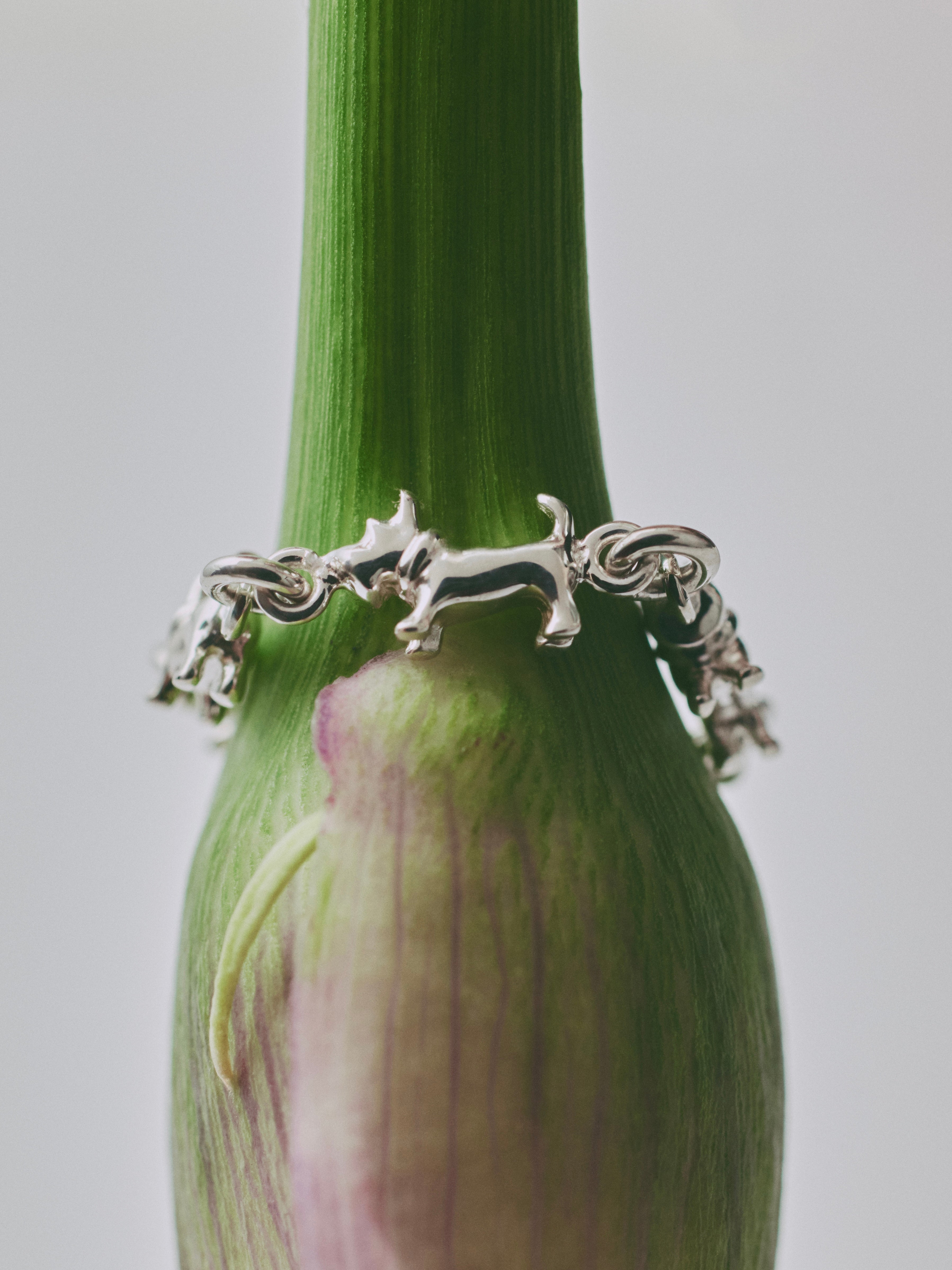 MY DAUGHTER'S TOY BOX - schnauzer