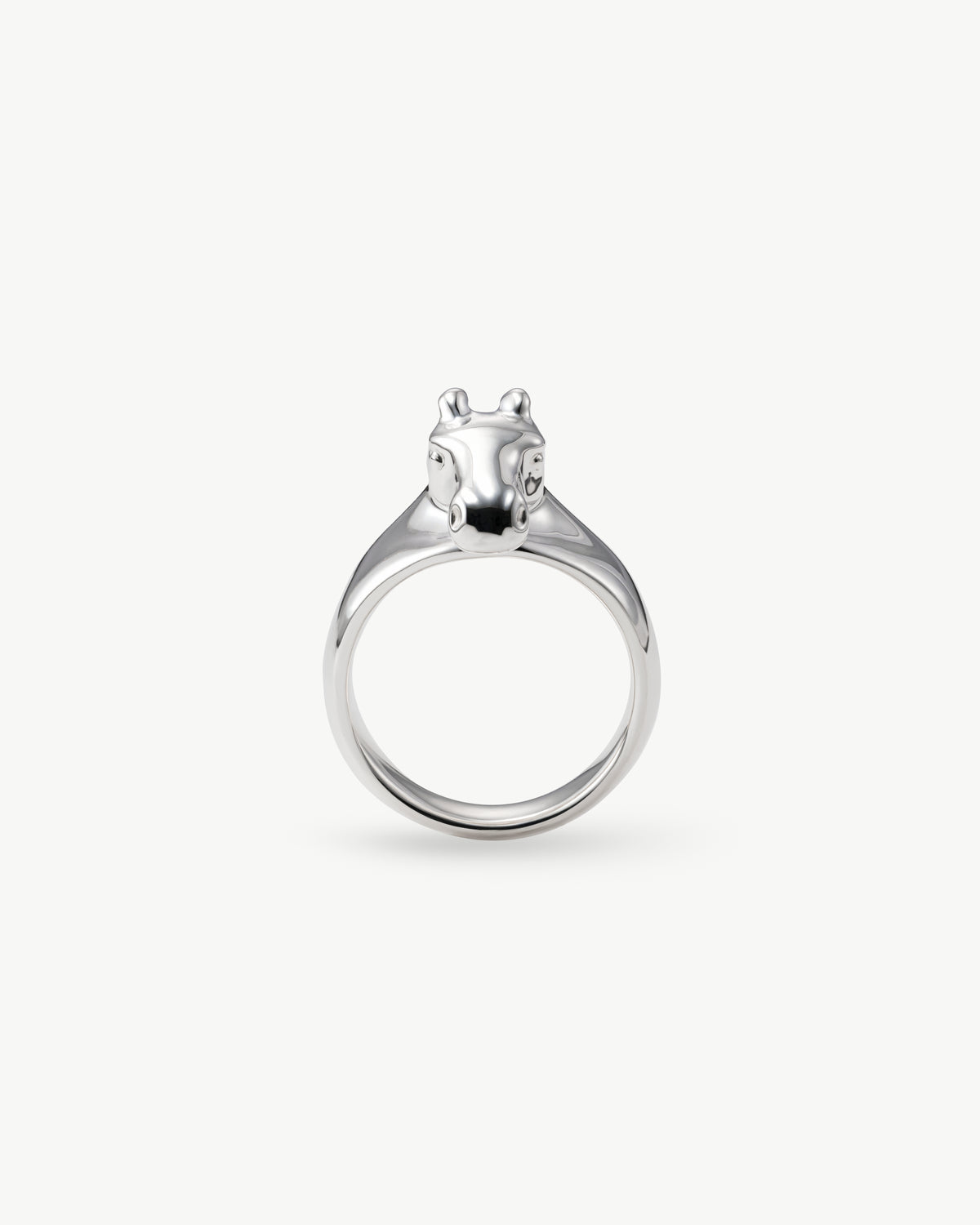 horse ring 02