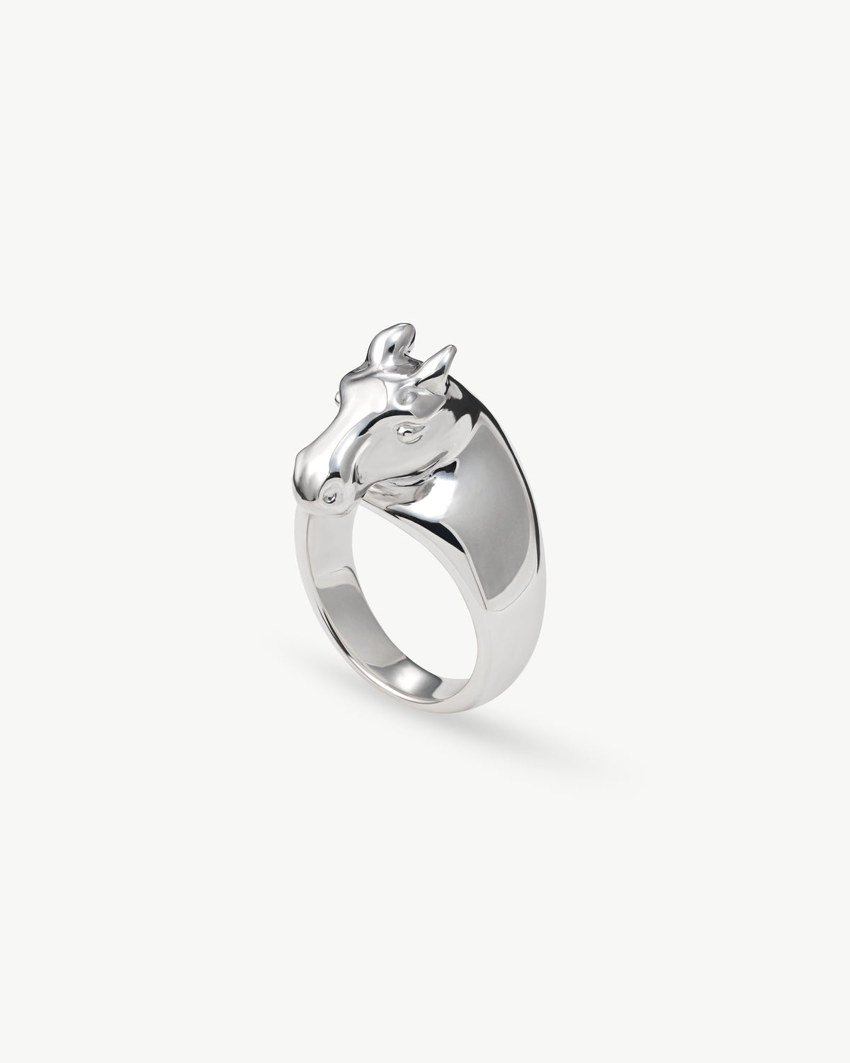 horse ring 03