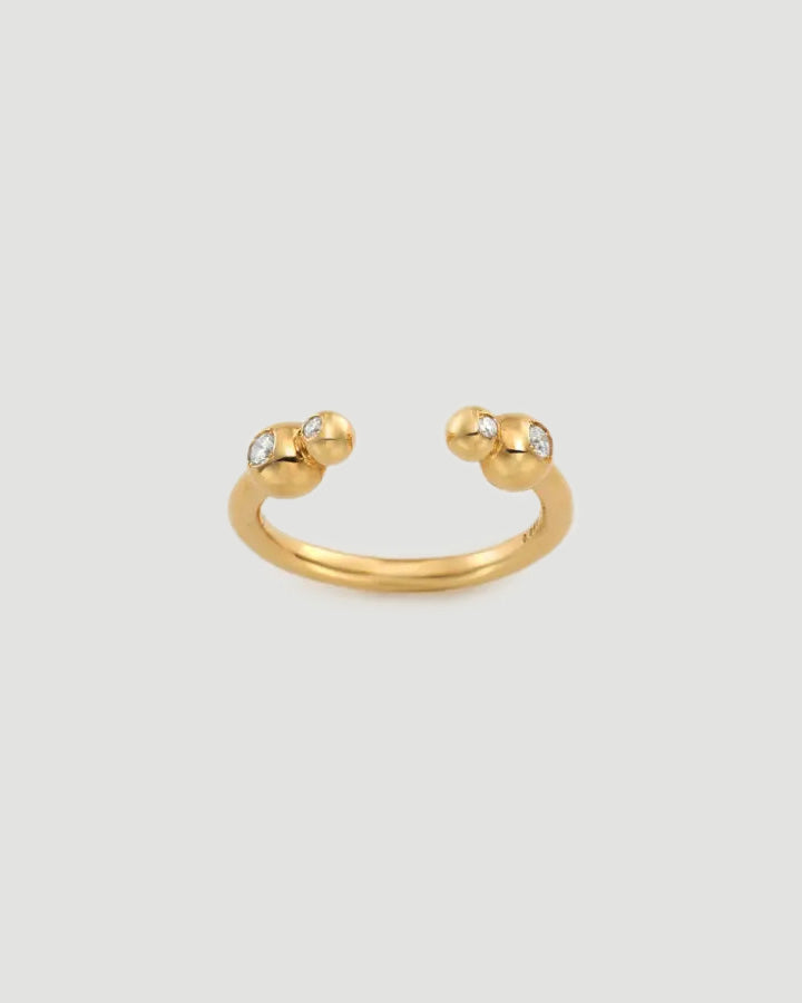 [Pre-order item] 2RD ring