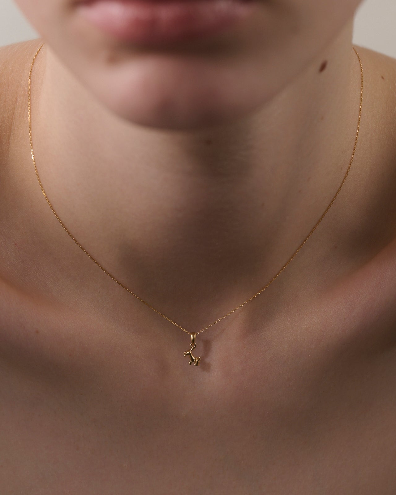 schnauzer necklace 01 K18｜LORO(ロロ)公式通販