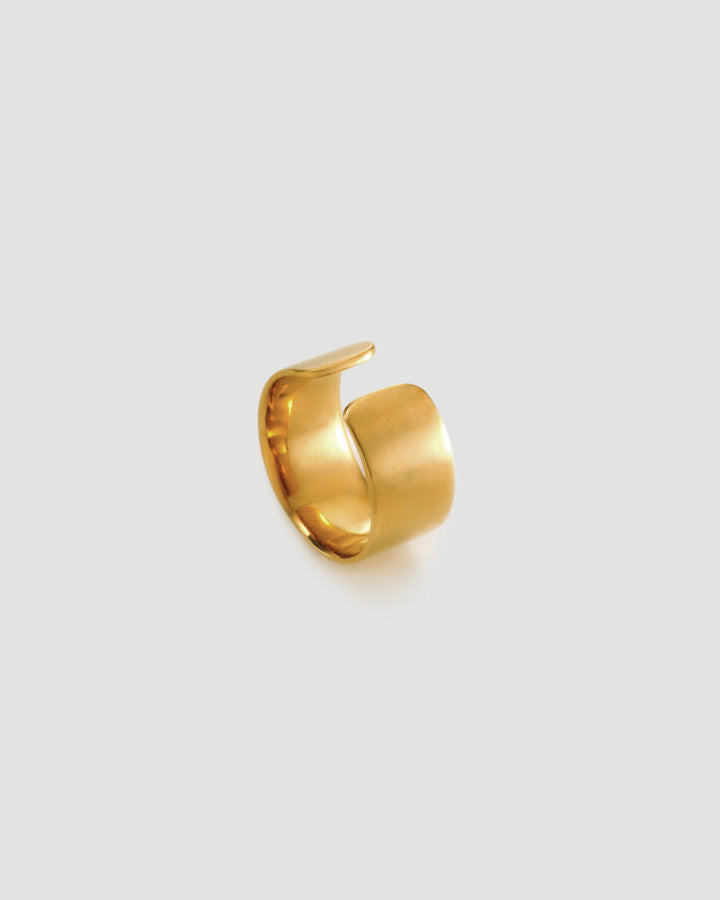 [Order item] WDE ear 01 gold