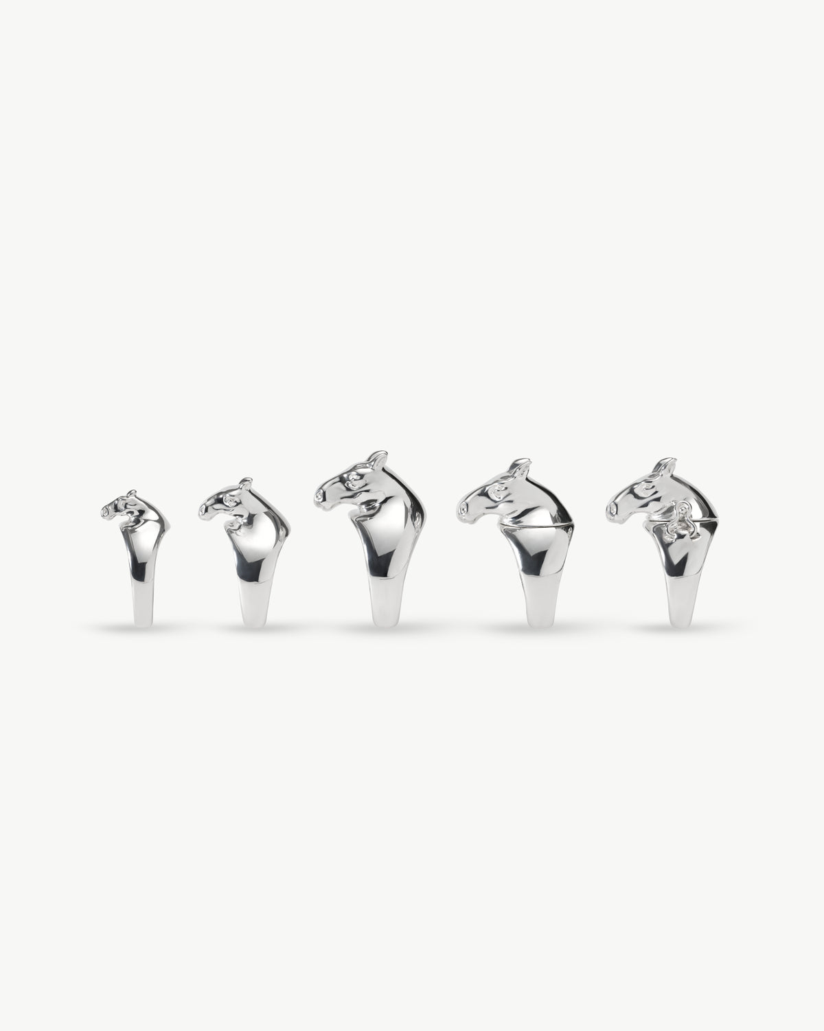 horse ring 02