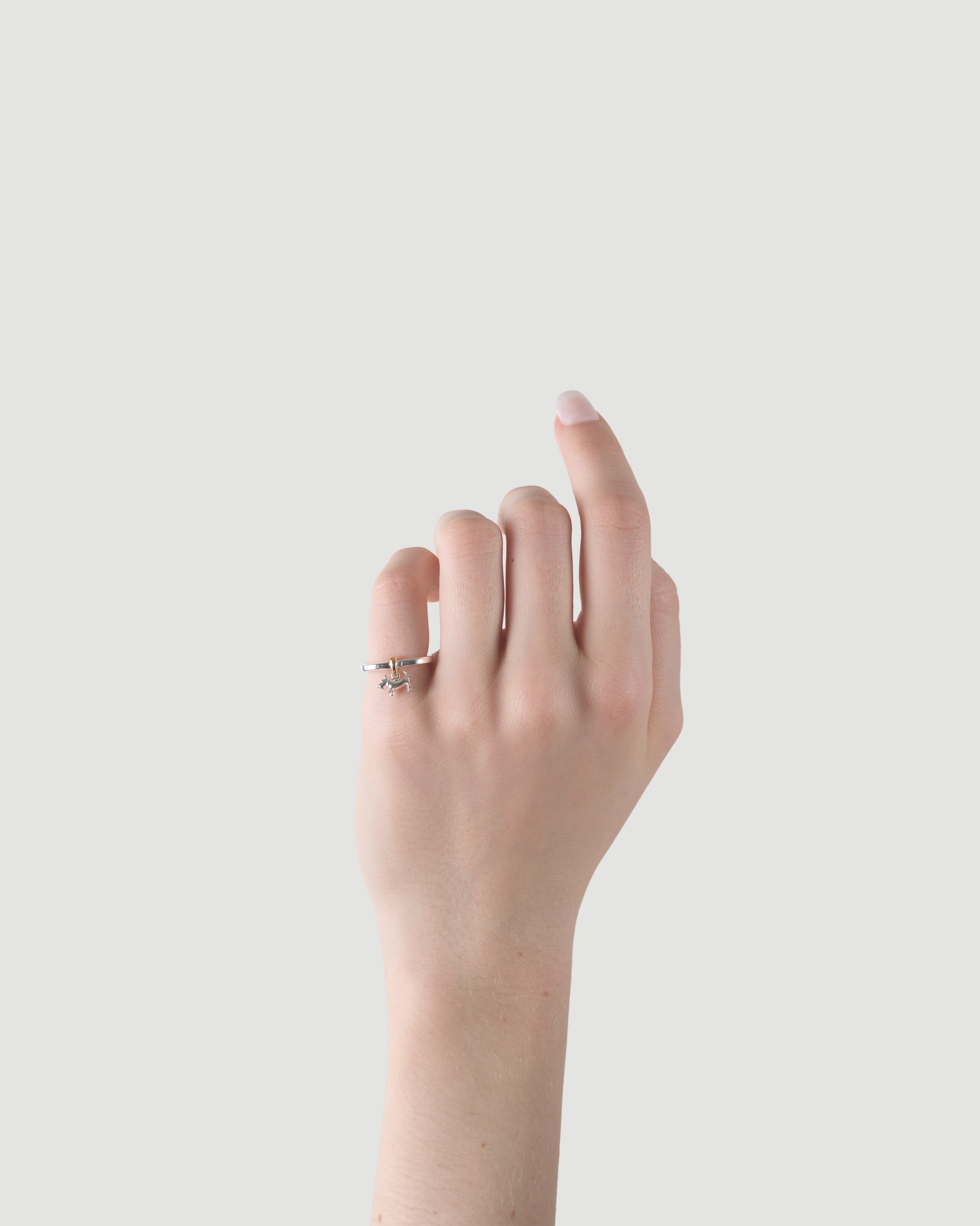 schnauzer heart ring 01 mix