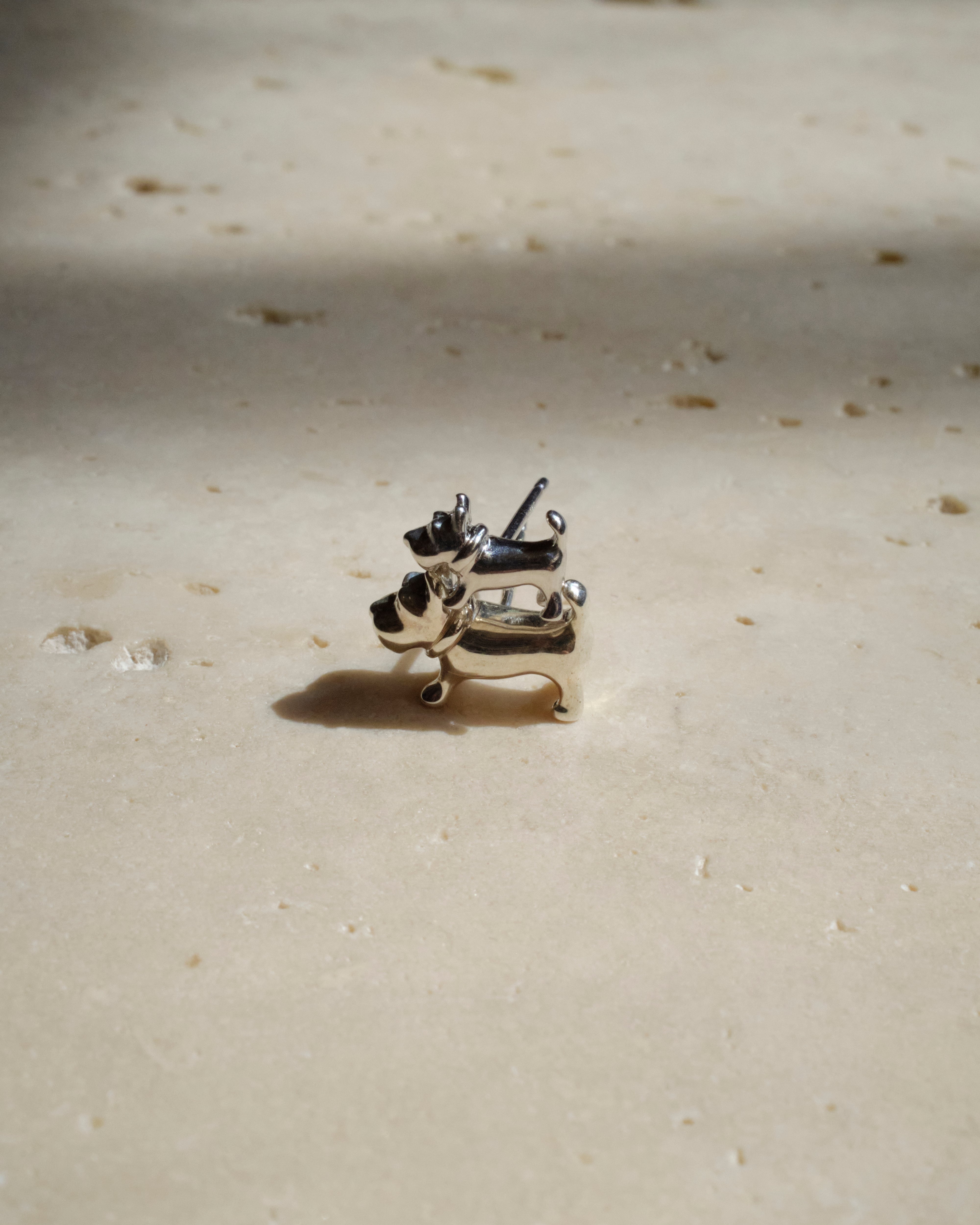 schnauzer pierce