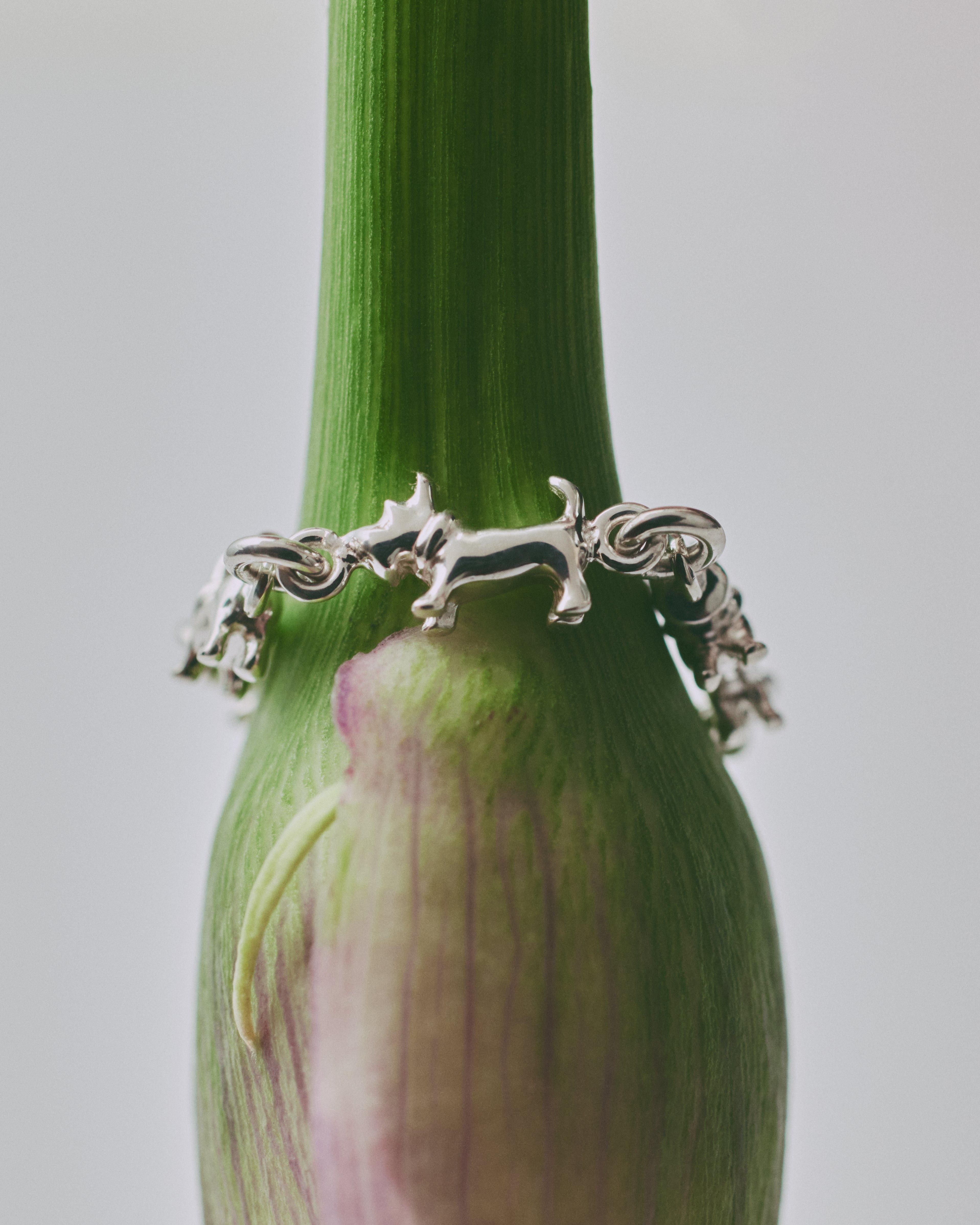 【受注品】schnauzer chain ring