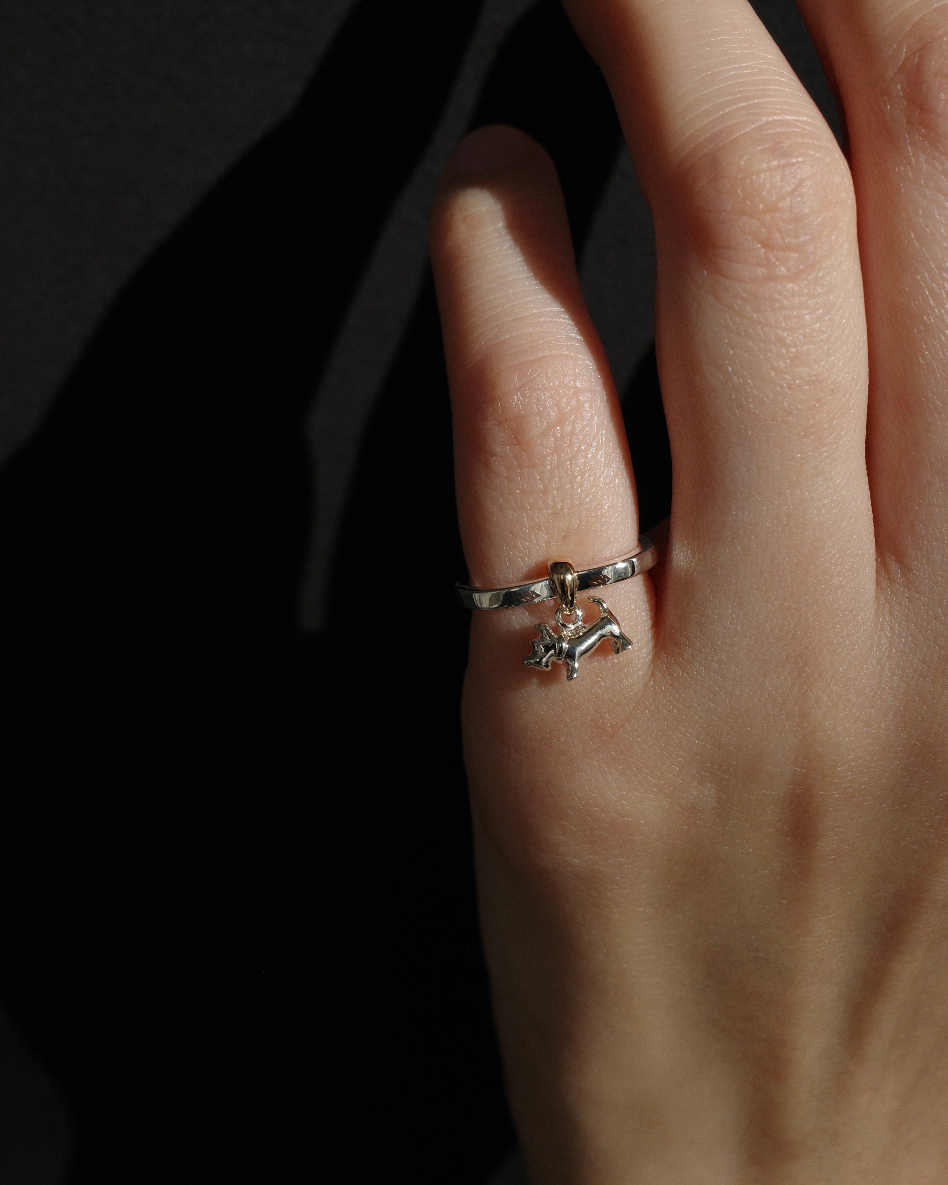 アクセサリー LORO schnauzer chain ring 197-2.webp?crop=center&height=