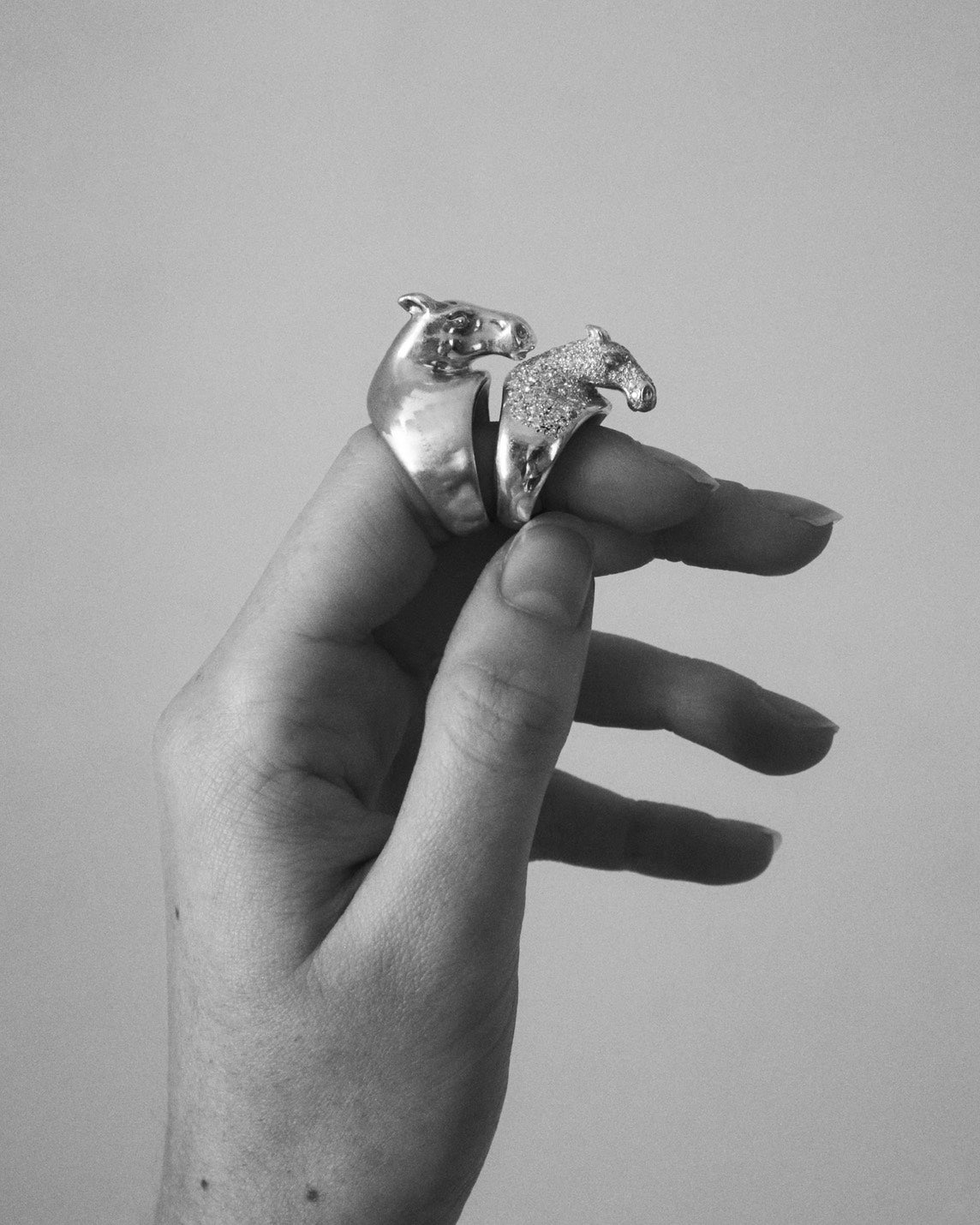 horse ring 03