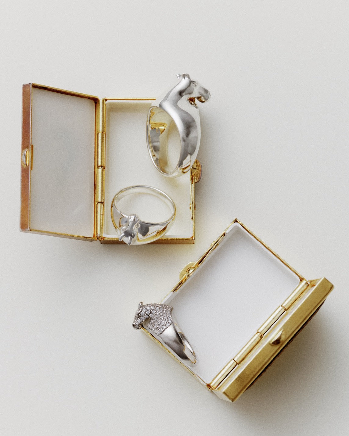 horse ring 01