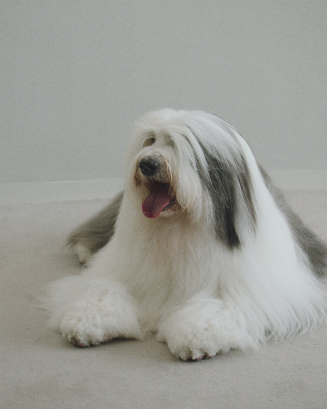 lolo..shopページ RING｜LORO(ロロ)公式通販